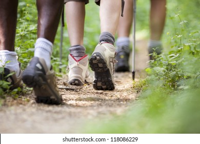 Group Of Man And Women During Hiking Excursion In Woods, Walking In A Queue Along A Path. Low Section View