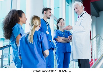Group of medical interns talking to a senior doctor on a bright stairway
