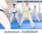 Group of men and women in kimonos train karate techniques in studio..