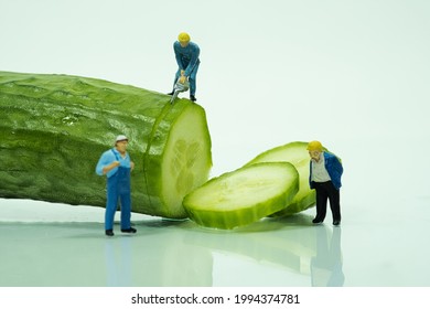 a group of miniature people cut a juicy cucumber into slices. - Shutterstock ID 1994374781
