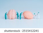 Group of miniature surgeon figurines performing procedures on two realistic brain models, showcasing medical research against a light background.