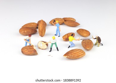 Group of miniature worker working on almond seed. - Powered by Shutterstock