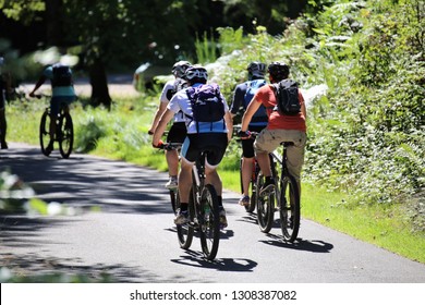 Group Of Mountain Bikers Cycling In The Forest