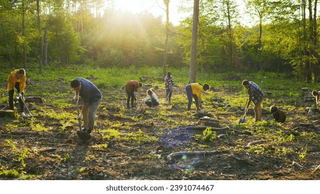 Group of multicultural happy eco activists plants tree at sunset. Diverse people is planting tree. Happy group of males and females with shovels and planting plant in soil - Powered by Shutterstock
