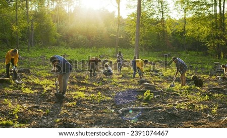 Group of multicultural happy eco activists plants tree at sunset. Diverse people is planting tree. Happy group of males and females with shovels and planting plant in soil