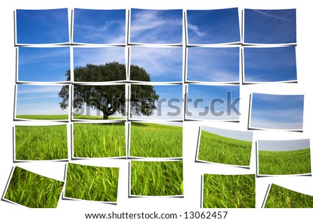 group of multiple filmstrips composing a landscape scene