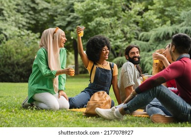 Group Of Multiracial Friends Picnicking In A Park, African American Woman Raise Glass With Drink Happy