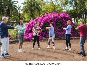 Group of multiracial senior people doing sport stretching exercise at city park - Healthy lifestyle concept - Powered by Shutterstock