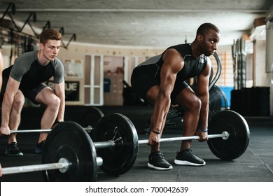 Group of multiracial sports people working out with barbells in the gym