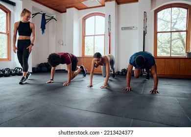 Group Of Multiracial Young Adults With Trainer Doing Mountain Climbers Exercise At The Gym