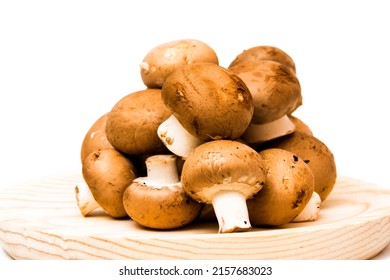 Group of mushrooms on white background - Shutterstock ID 2157683023