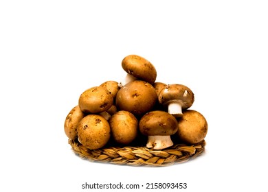 Group of mushrooms on white background - Shutterstock ID 2158093453