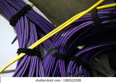 Group of network cable in a trunk