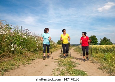 A Group Of Nordic Walking Woman In Nature