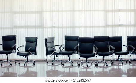 Group Of Office Chair In Meeting Room