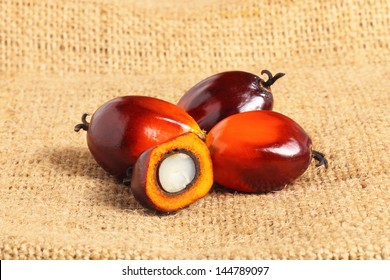 A group of oil palm fruits on sack burlap background.