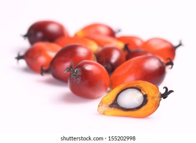 A group of oil palm fruits on the white background