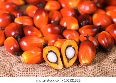 A group of oil palm fruits on the sack bag