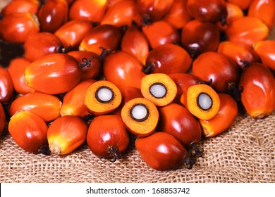 A group of oil palm fruits on the sack bag