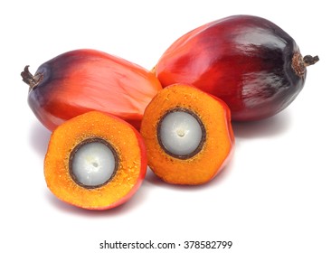 A group of oil palm fruits on the white background