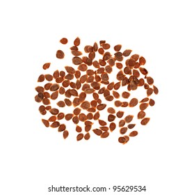 A Group Of Old Left Over Tomato Seeds.