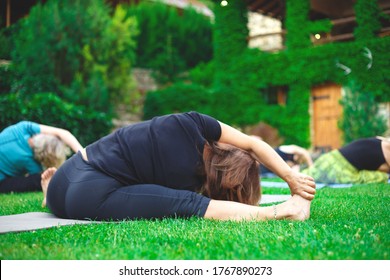 Group Older Women Doing Yoga On Stock Photo 1767890273 | Shutterstock