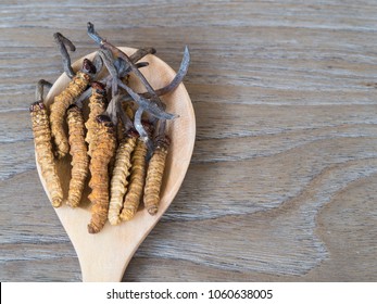 Group Of Ophiocordyceps Sinensis Or Mushroom Cordyceps This Is A Herbs Placed On Wooden Spoon On Wooden Background. On Wooden Table. National Organic Medicine.