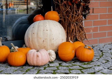 Group of orange pumpkins in autumn outside. Thanksgiving or Halloween holiday autumn decoration. House entrance in festive seasonal decor - Powered by Shutterstock