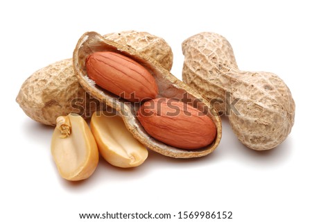 Group of peanuts isolated on white background