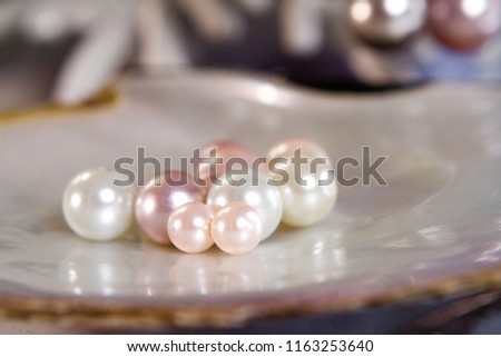 a group of pearl on the shell have some different color and size showing in jewelry store