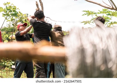 Group Of Peasants From Nicaragua Installing A Barbed Wire Fence On A Farm