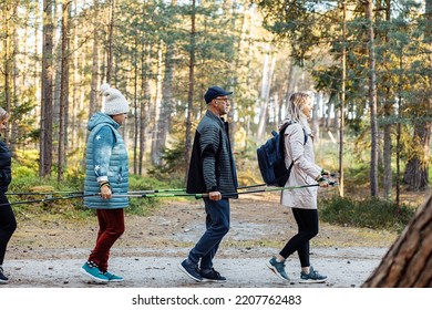 Group Of People, Campers Making Nordic Walking One By One In Column, Hold Trekking Poles In The Woods. Exercise Hiking Education. Stepping And Stretching Technic For Power Energy And Activity