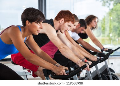 Group Of People Cycling At Gym