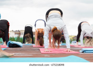Group of people of different age yoga exercise in the park at summer. Big group of adults woman doing yoga class outdoor in nature