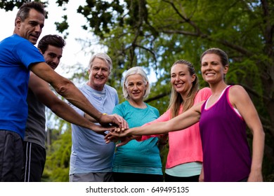 Group of people doing a hand stack in park - Shutterstock ID 649495135