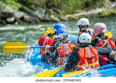 Group Of People Doing Whitewater Rafting In The Pure Nature Of Scandinavia