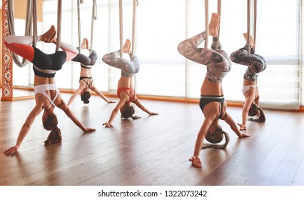 A Group Of People Engaged In A Class Of Yoga Aero In Hammocks Antigravity
