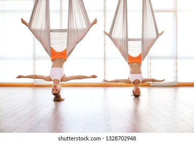 A Group Of People Engaged In A Class Of Yoga Aero In Hammocks Antigravity
