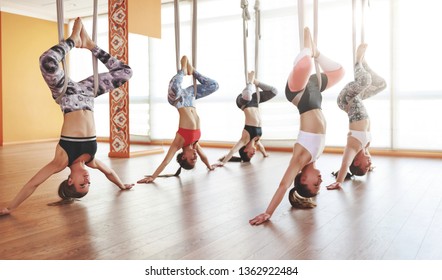 a group of people engaged in a class of yoga Aero in hammocks antigravity - Powered by Shutterstock