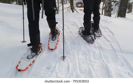 Group Of People Enjoying A Snowshoeing On A Trail In Winter