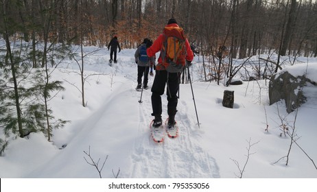 Group Of People Enjoying A Snowshoeing On A Trail In Winter