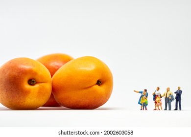 Group Of People (figurines) Next To Apricots