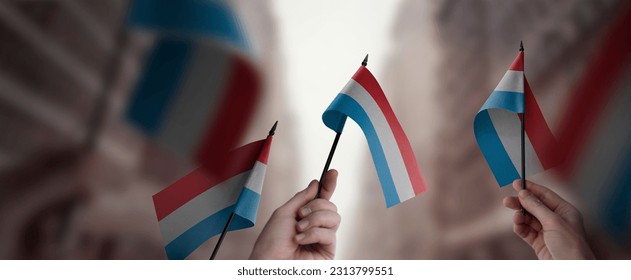 A group of people holding small flags of the Luxembourg in their hands.