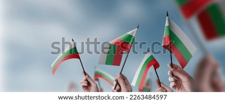 A group of people holding small flags of the Bulgaria in their hands.