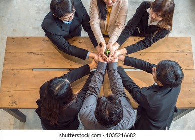 A group of people holding to support the little tree by hands. The conceptual of egology and save the world. A comparative approach to business progress. - Shutterstock ID 1035216682