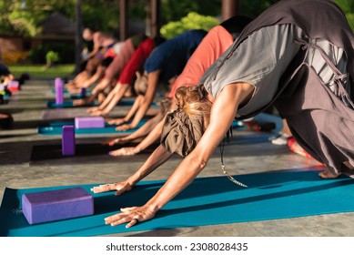 a group of people performs asana, yoga as a healthy lifestyle, a journey into oneself, classes on the seashore - Powered by Shutterstock