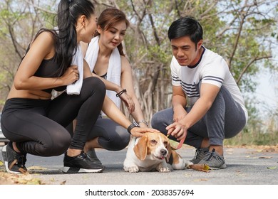 Group Of People Petting And Playing With Beagle Dog. Greeting And Making New Friend