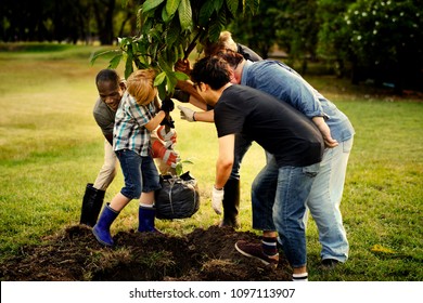 Group Of People Planting A New Tree