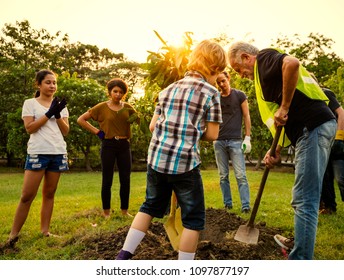 Group Of People Planting A New Tree