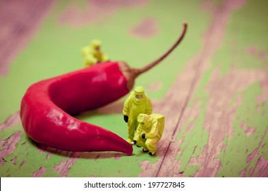 Group Of People In Protective Suit Inspecting Chili Pepper. Macro Photography